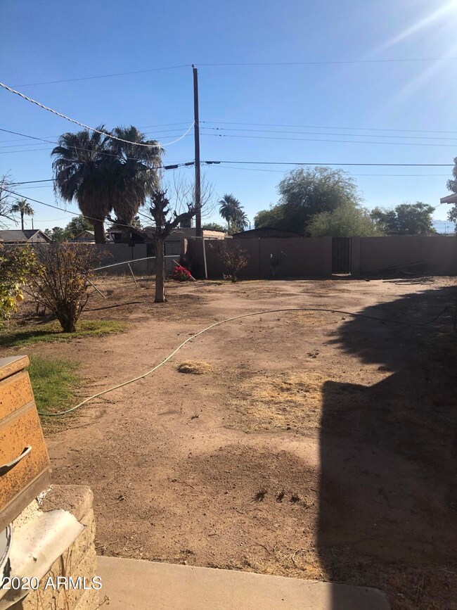 9309 backyard