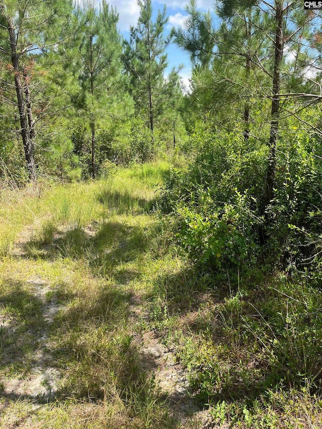 BFF 1A J C Barefoot Rd unit BFF 1A, Patrick, SC 29584 - photo 7