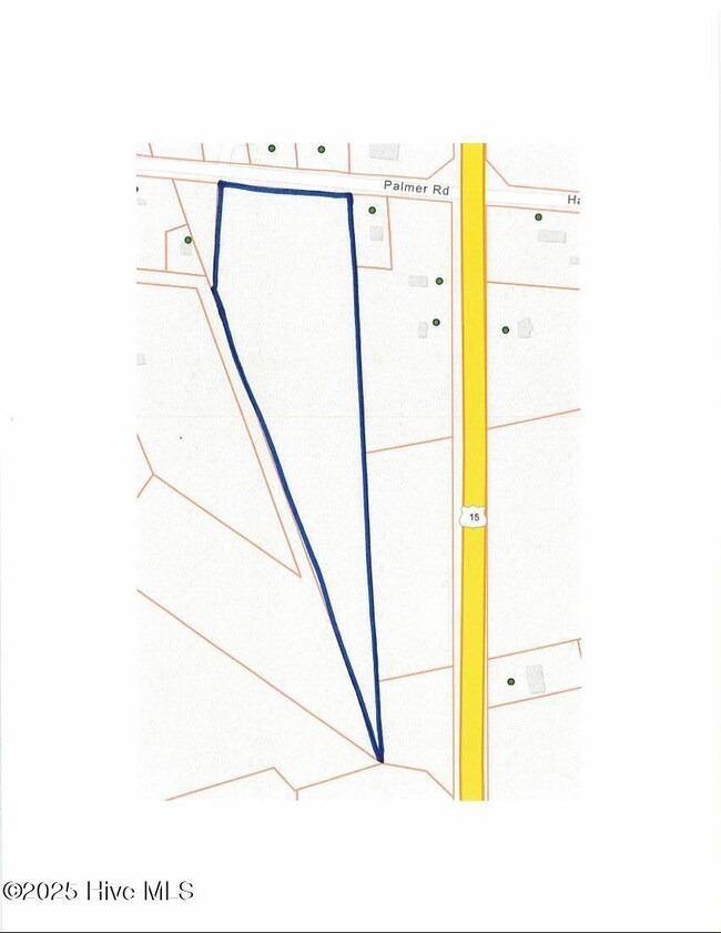 0 Palmer unit 100511463, Marston, NC 28363 - photo 2