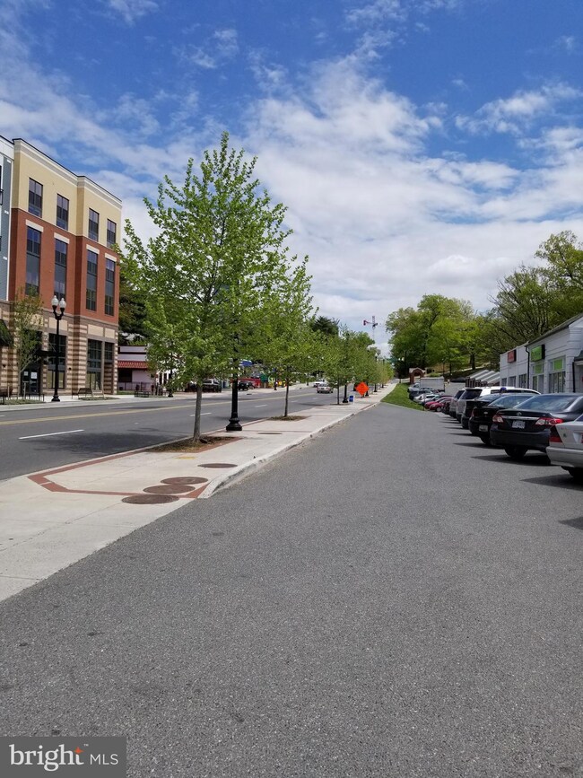 Trafalgar Flats unit 325, Arlington, VA 22204 - photo 6