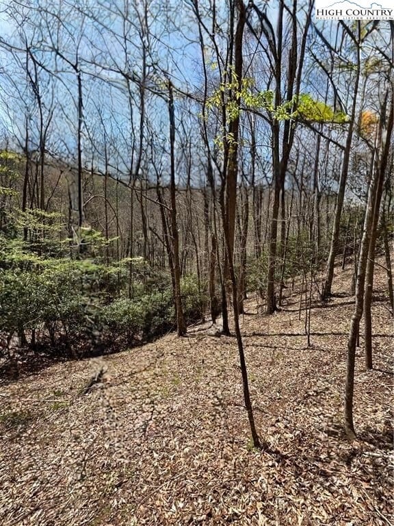 TBD Hwy 88 W, Creston, NC 28615 - photo 2