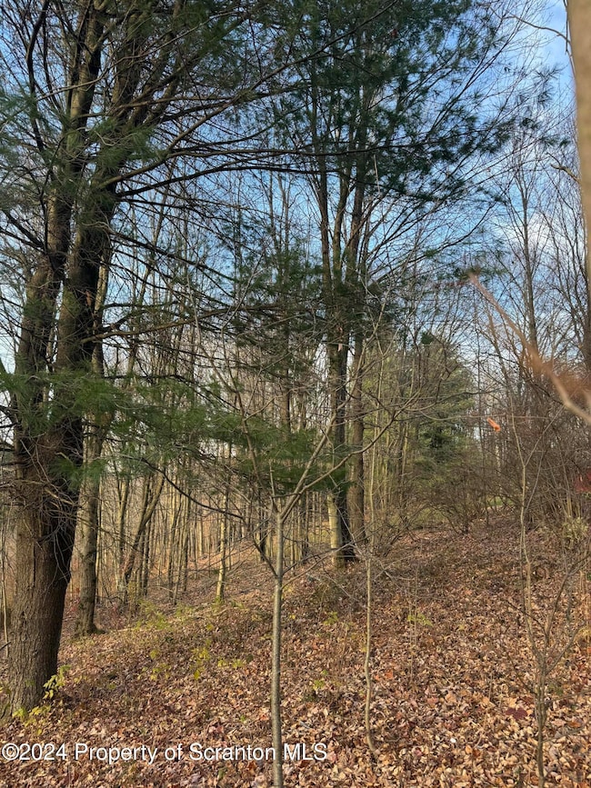 0 Shust Rd unit GSBSC5708, Greenfield Township, PA 18407 - photo 3