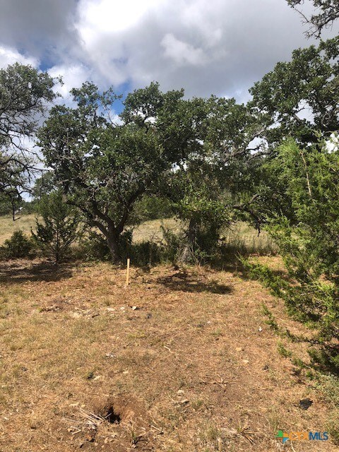 112 Peter Kleid Loop Dr unit 3, Blanco, TX 78606 - photo 7