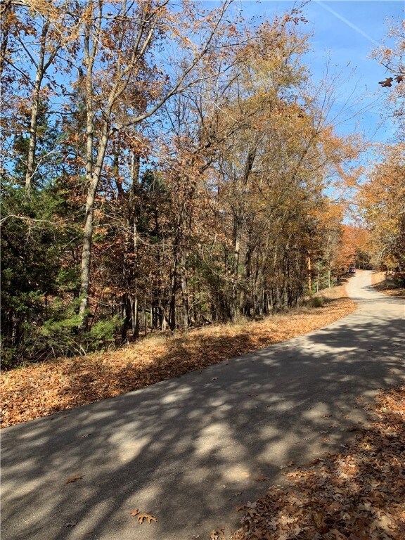 4.32 AC Barzel Point Rd, Rogers, AR 72756 - photo 5