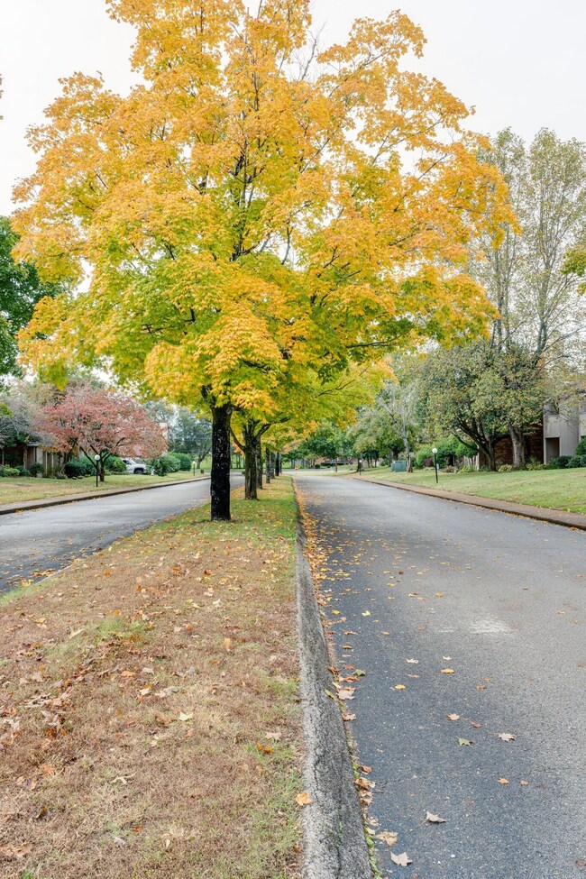 134 Saddle Tree Ct, Hermitage, TN 37076 - photo 2