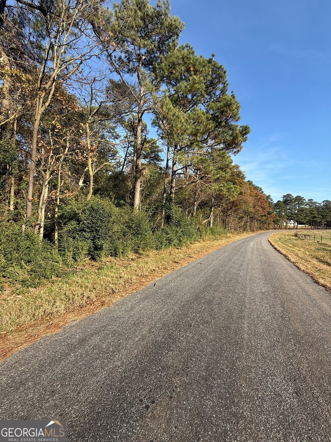 0 Wheeler Cemetery Rd unit 10647289, Maysville, GA 30558 - photo 3
