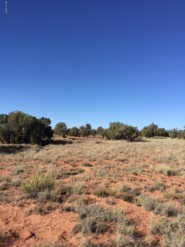 Ranch of the White Mountains Lot 43