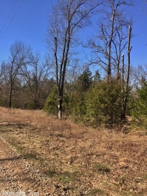 Tract 18/19 Skyhawk Dr, Cane Township, AR 72102 - photo 5
