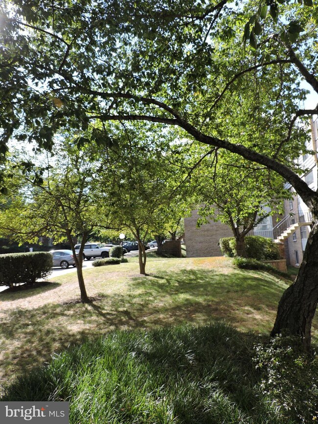 3946 Bel Pre Rd unit 4, Silver Spring, MD 20906 - photo 5
