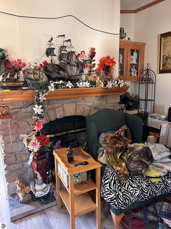 5460 E Lilly, Mount Pleasant, MI 48858 - photo 3