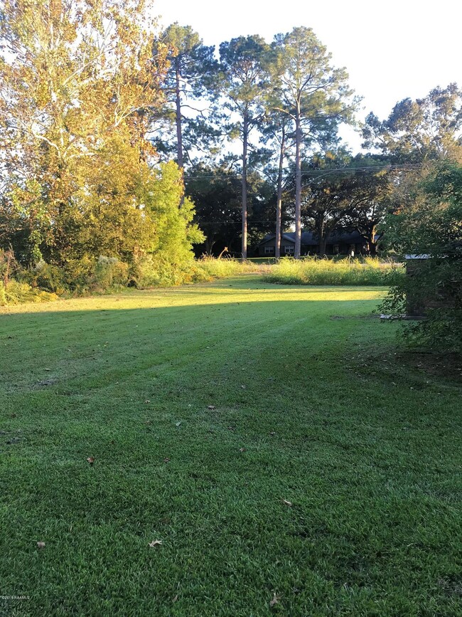 Photo Nov 03, 5 45 08 PM