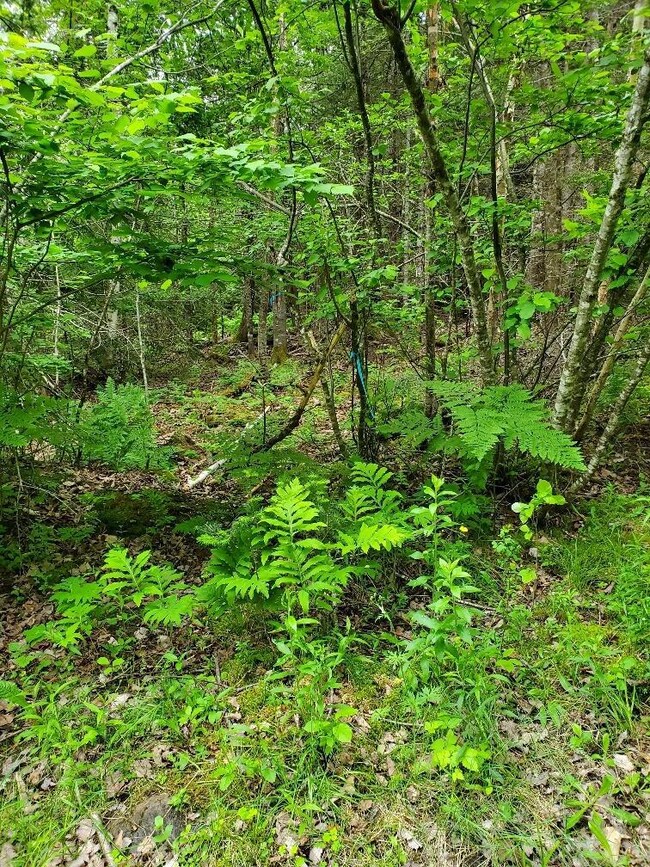 20230617_114107_resized