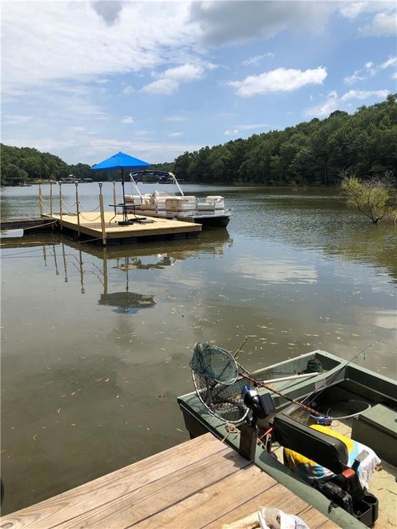 Dock area featuring a water view and a view of trees