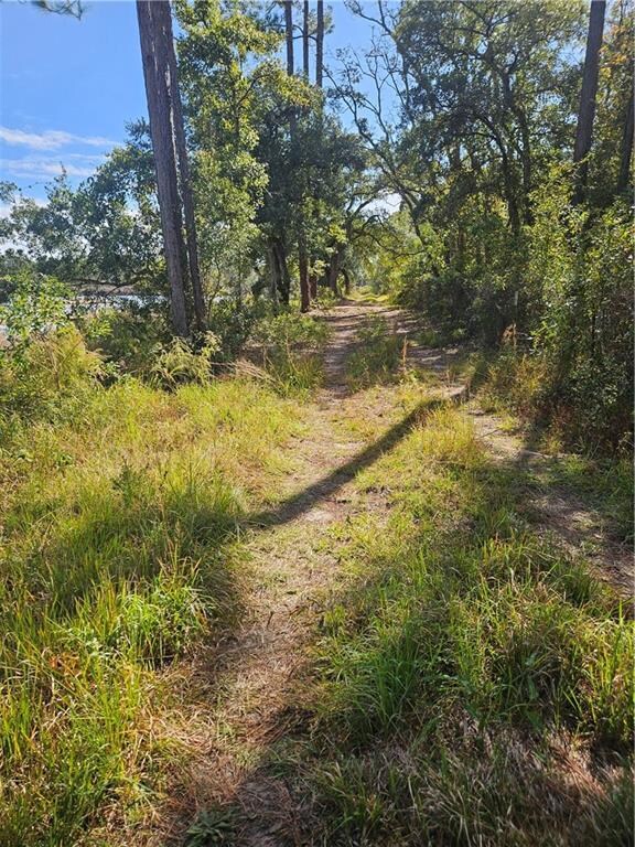 Walking trail all around the lake