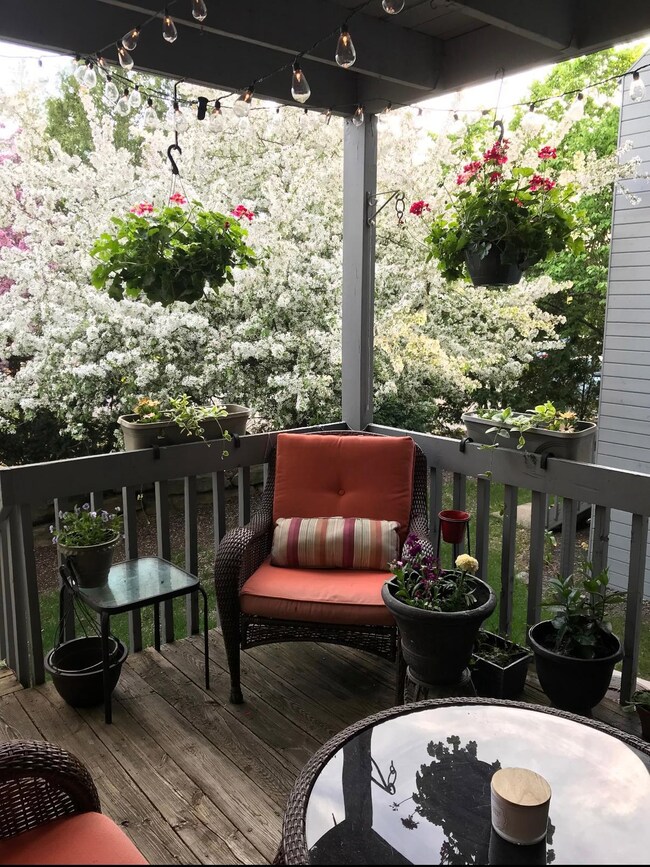 Back covered porch with flowering trees