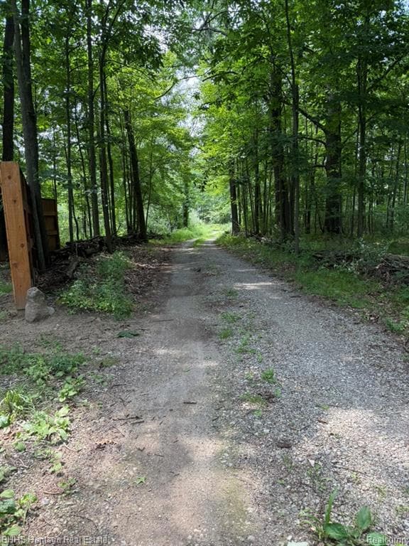 5550 Fisher Rd, Oceola Township, MI 48855 - photo 6