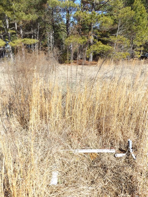 6865 Moody Rd, Rembert, SC 29128 - photo 6