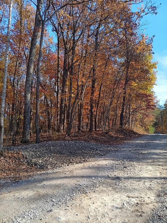 lot52,53 Diane Cir, Crossville, TN 38572 - photo 7