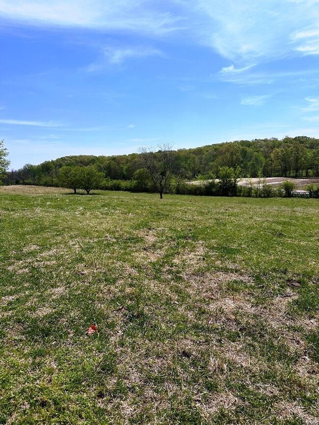 0 Marble Hill Rd, Poplar Bluff, MO 63901 - photo 3