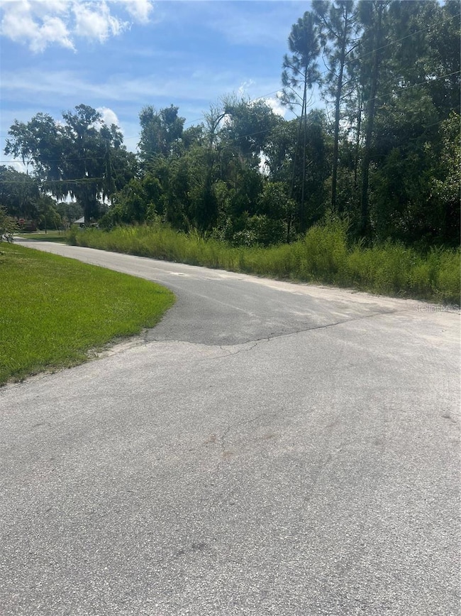 0 W Herrick Ave unit MFRG5104849, Eustis, FL 32726 - photo 3