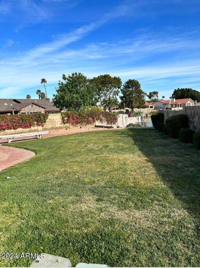 Photo #4
