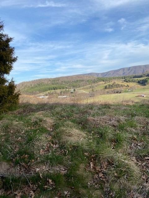 7647 S Scenic Hwy, Bland, VA 24315 - photo 4