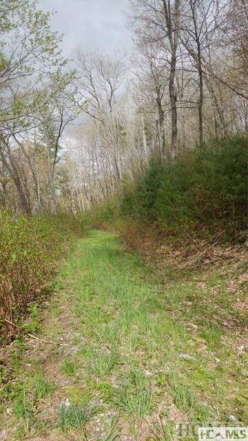 4567 4 5 6 7 Captiva Mountain Drive Cullowhee Nc 28723 Dr, Cullowhee, NC 28723 - photo 2