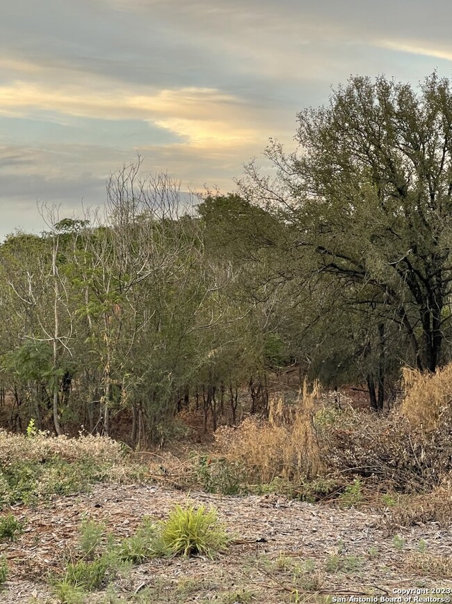 000 Riggs Rd, Helotes, TX 78023 - photo 4