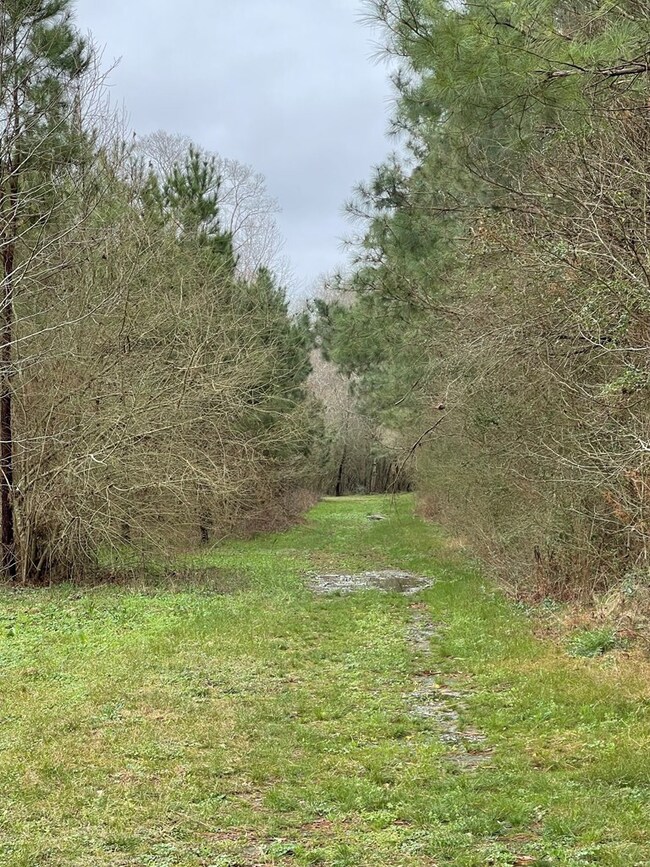 96 Moss Rd, Kokomo, MS 39643 - photo 3