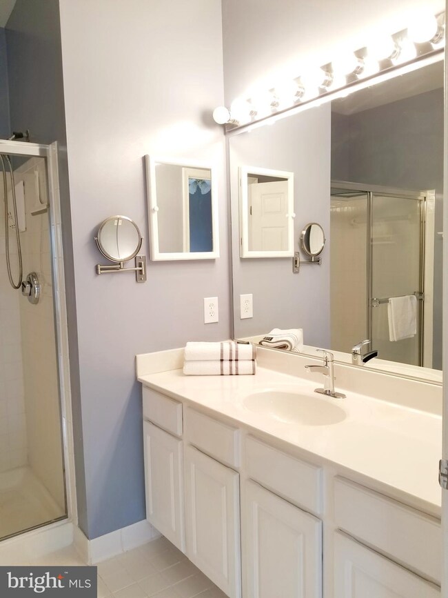 11306 Westbrook Mill Ln unit 204, Fairfax, VA 22030 - photo 6