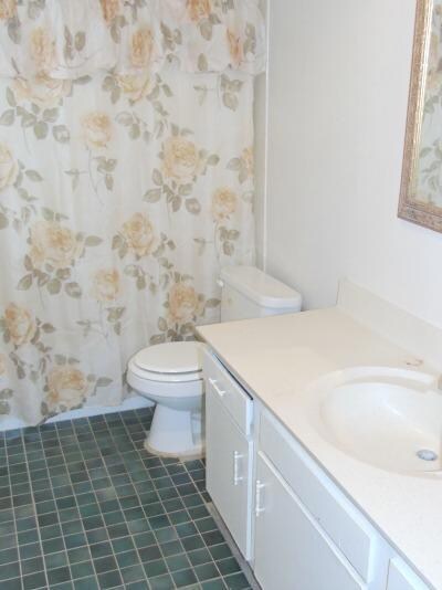 Hall bathroom