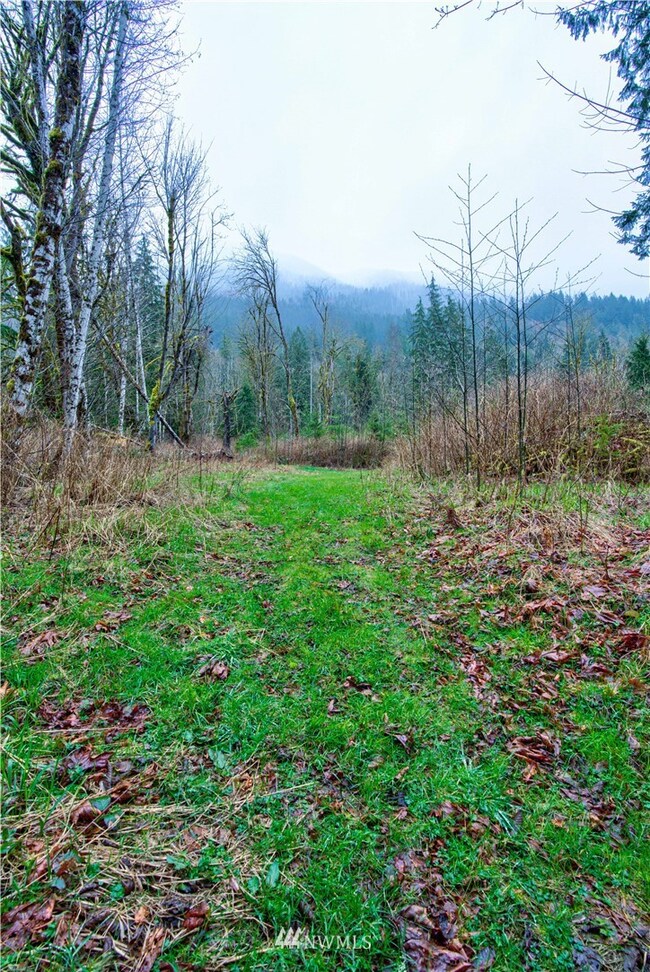 unlisted-address, Arlington, WA 98223 - photo 5