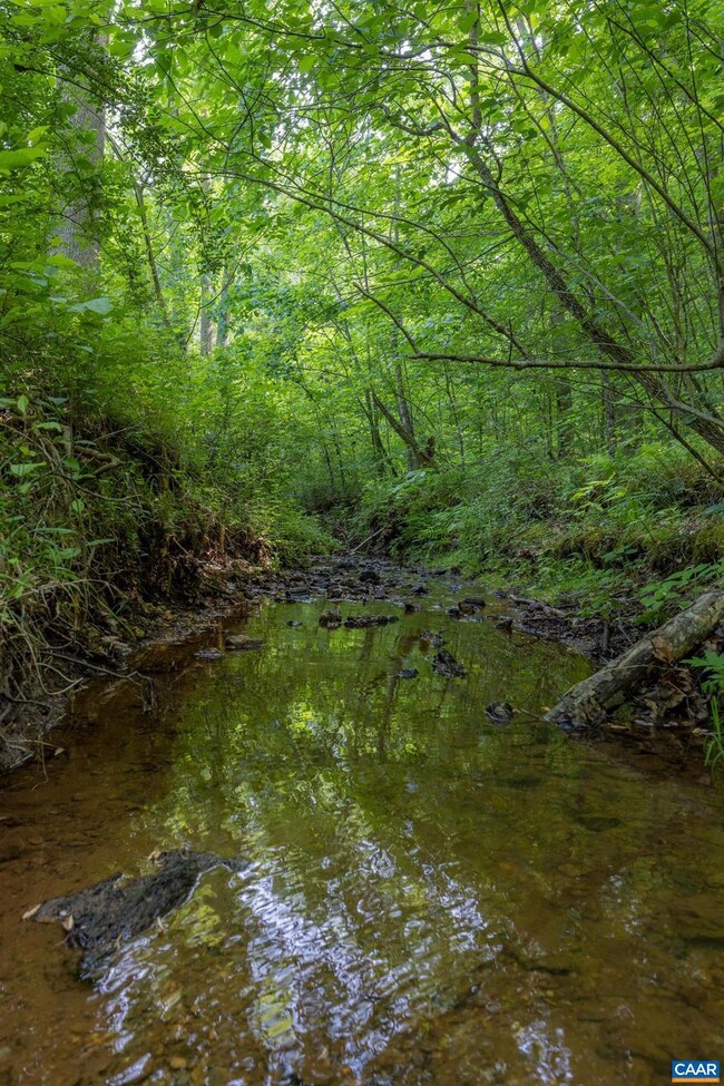 1841 Ed Jones Rd, Scottsville, VA 24590 - photo 6