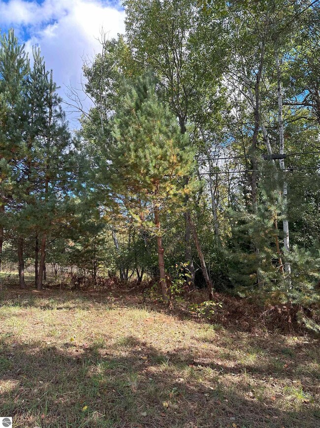 7191 Old 27, Vanderbilt, MI 49795 - photo 7