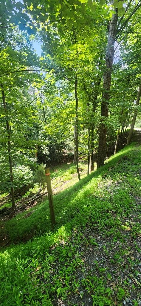 0 Mohawk Trail unit 406863, Ellijay, GA 30540 - photo 5