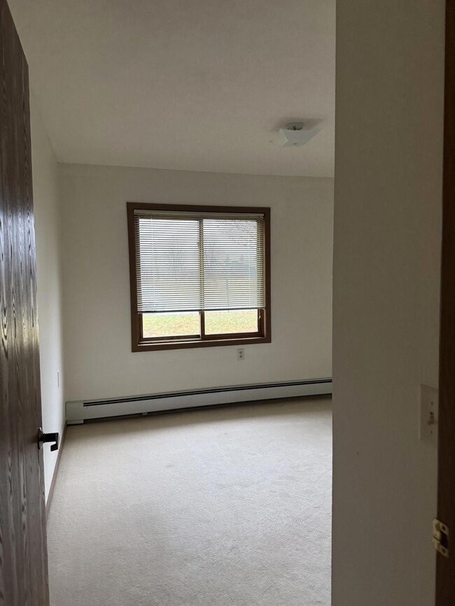 611 Main St S unit 207, Renville, MN 56284 - photo 4