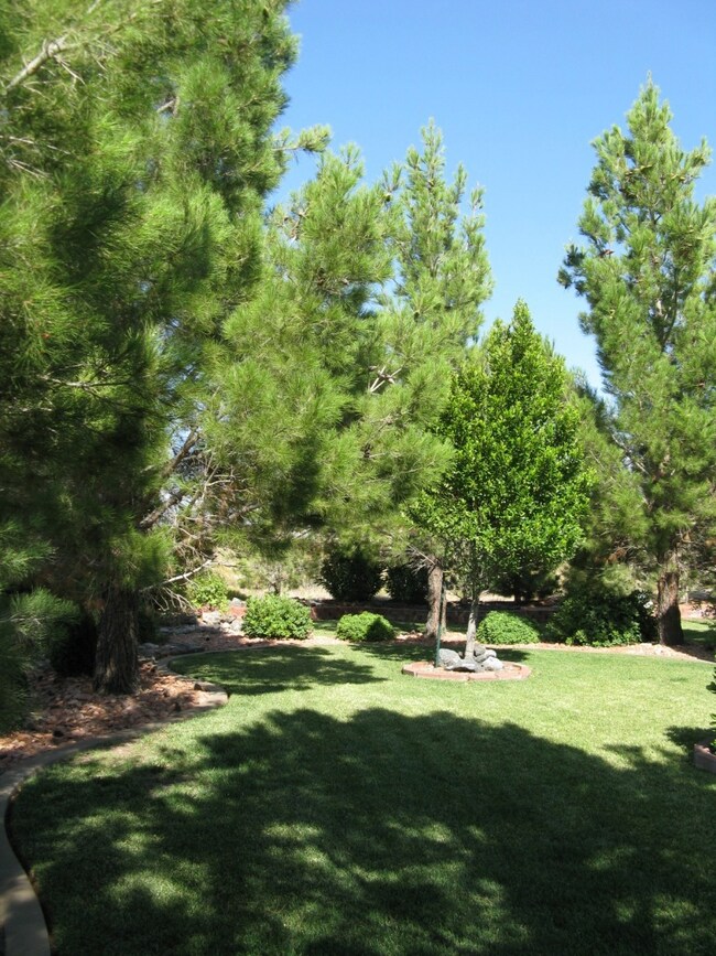 Side Yard from Street
