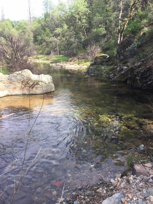 Salt Creek
