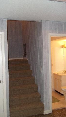 211 Palm Dr, Saint Simons Island, GA 31522 - photo 3