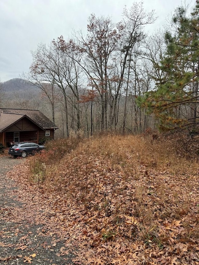 101 Flaming Ridge, Hayesville, NC 28904 - photo 7