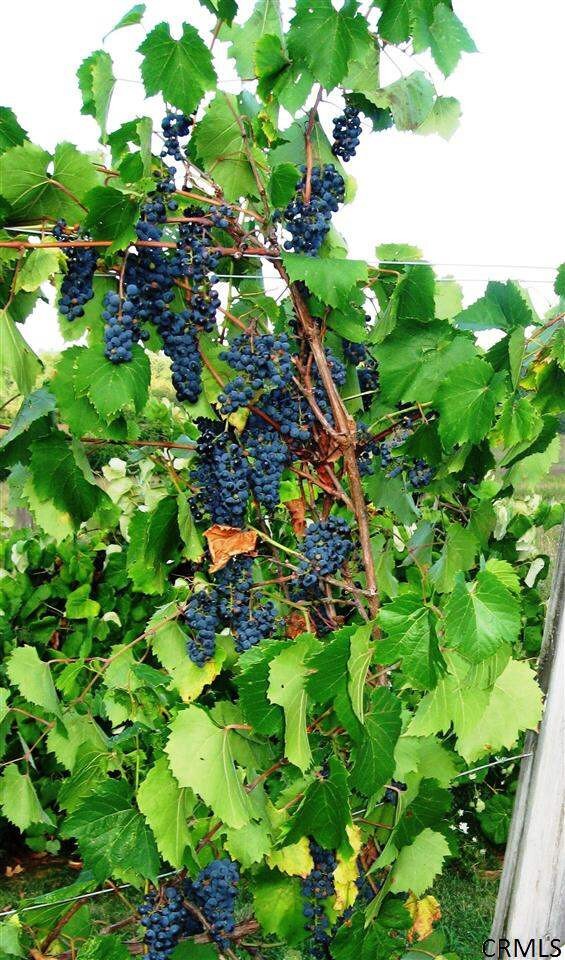 187 Bullock Rd, Slingerlands, NY 12159 - photo 7