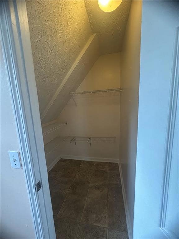Spacious closet featuring vaulted ceiling