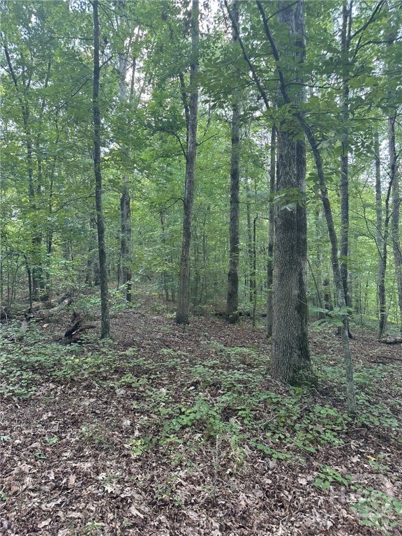 0 Fears Rd unit CL344239, Madison, GA 30650 - photo 2