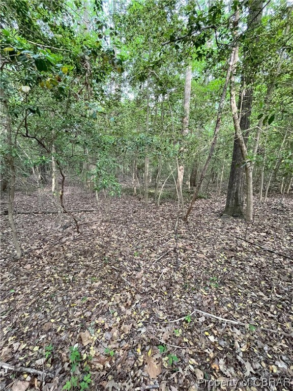 Land view