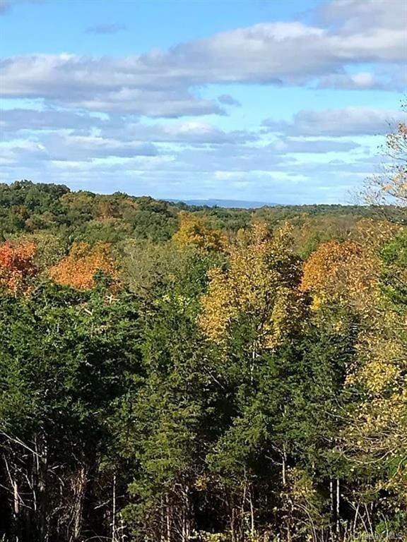 0 Oxford Rd unit ONEH6287716, Blooming Grove, NY 10918 - photo 4