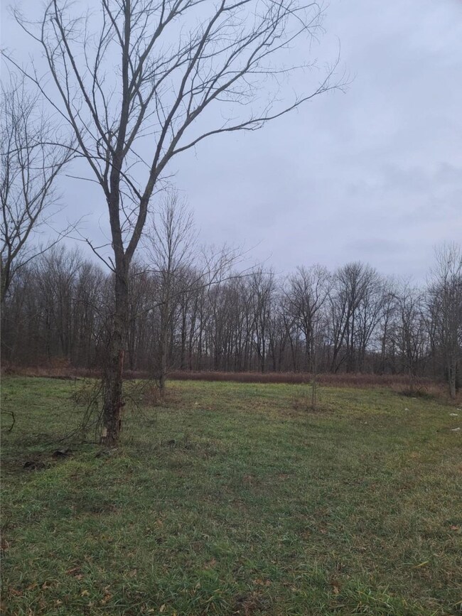 0 Long Branch Rd unit 193968, Brookville, IN 47024 - photo 3