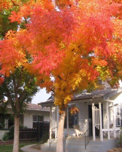 1370 N Lucerne Ln, Fresno, CA 93728 - photo 2