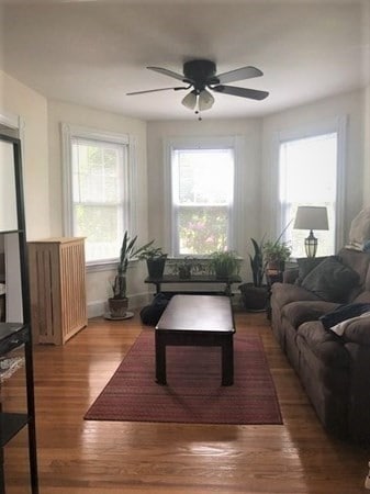 508 California St unit 1, Newtonville, MA 02460 - photo 4