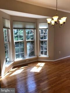 6003 Madison Overlook Ct, Falls Church, VA 22041 - photo 4