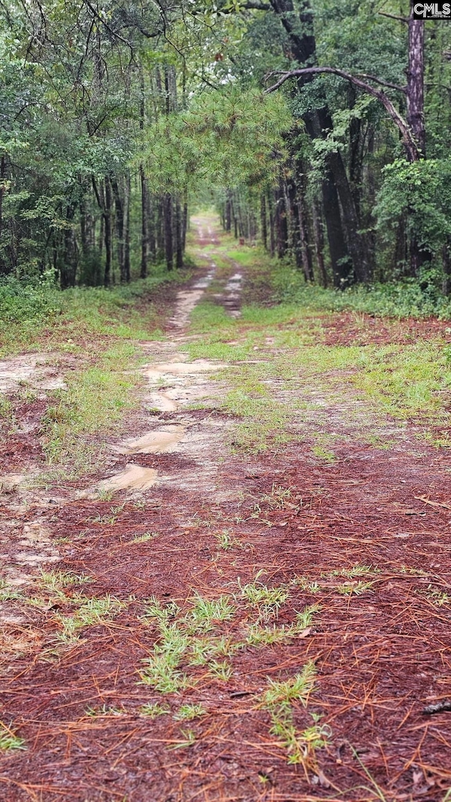 3064 Highway 1 N, Cassatt, SC 29032 - photo 2